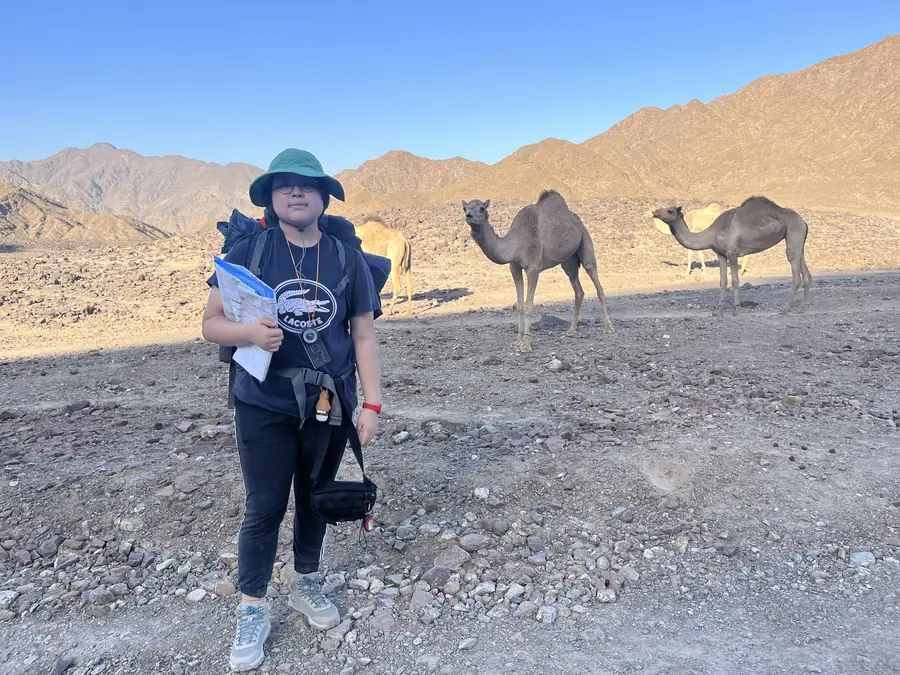 A student in expedition kit pauses on the trail as two camels wander past